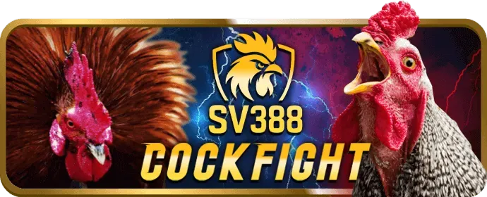 Hoàn trả cực cao ok8386
